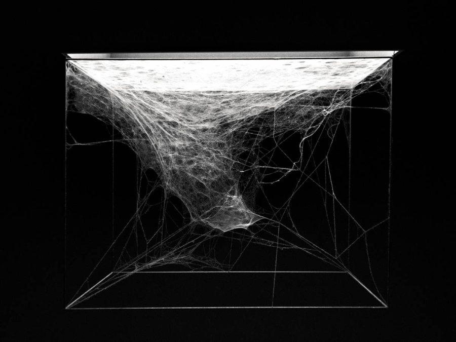 Spinnenweb kunstenaar Tomás Saraceno in museum K21 Düsseldorf