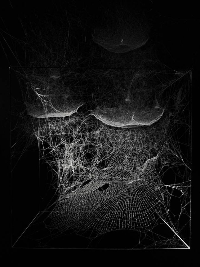 Spinnenweb kunstenaar Tomás Saraceno in museum K21 Düsseldorf