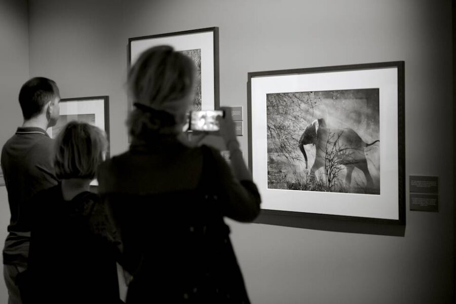 Expositie Genesis, foto's van de Braziliaanse fotograaf Sebastião Salgado - Filmuseum Rotterdam 2017