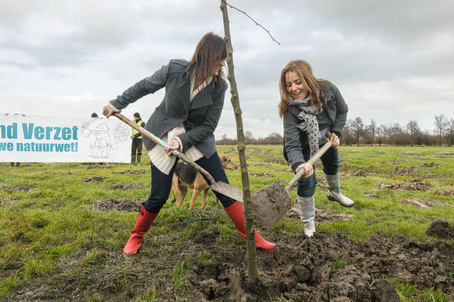 Actie Groeiend Verzet PvdD tegen beleid Hank Bleker door planten van bomen