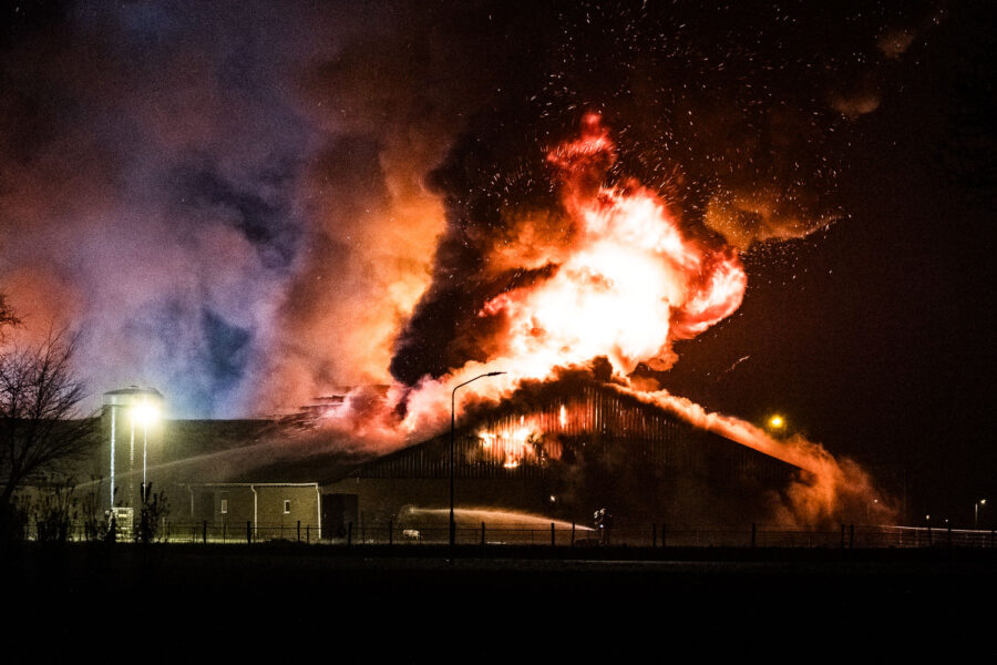 Stalbrand varkensstal Biezenmortel 2019