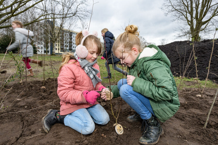 Hovenier en kinderen werken samen aan planten bomen voor een Tiny Forest in Oss