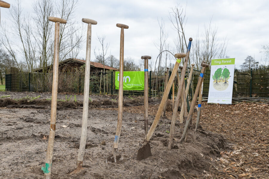 Een rij schoppen bij de aanleg van een Tiny Forest in Oss