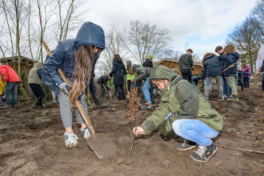 Hovenier en kinderen werken samen aan planten bomen voor een Tiny Forest in Oss