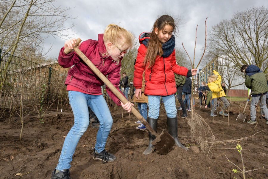 Hovenier en kinderen werken samen aan planten bomen voor een Tiny Forest in Oss