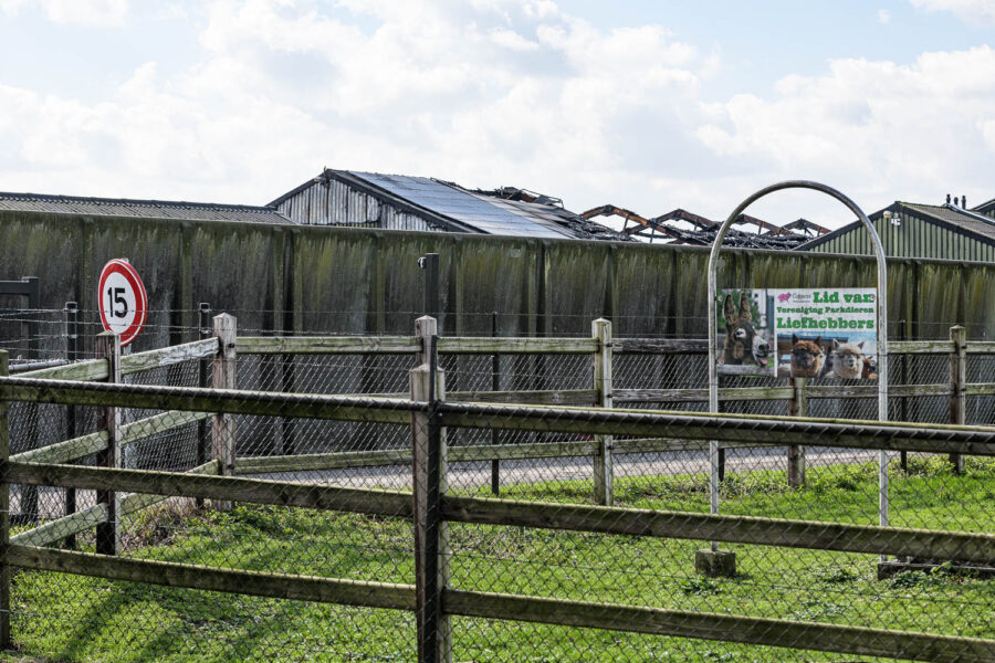 Stalbrand varkensstal Boekel