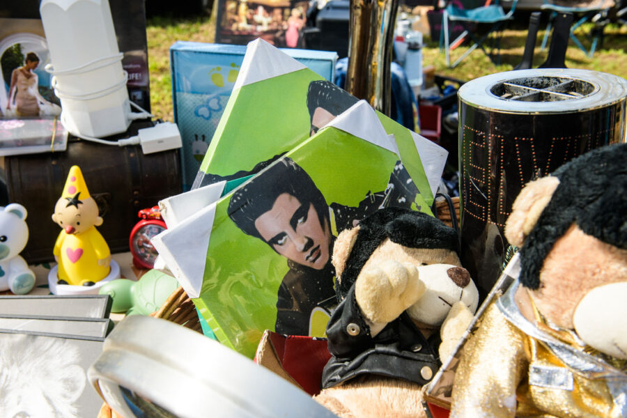 Elvis Presley op canvas